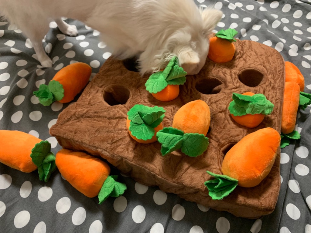 全体のレビュー画像 | 2-3