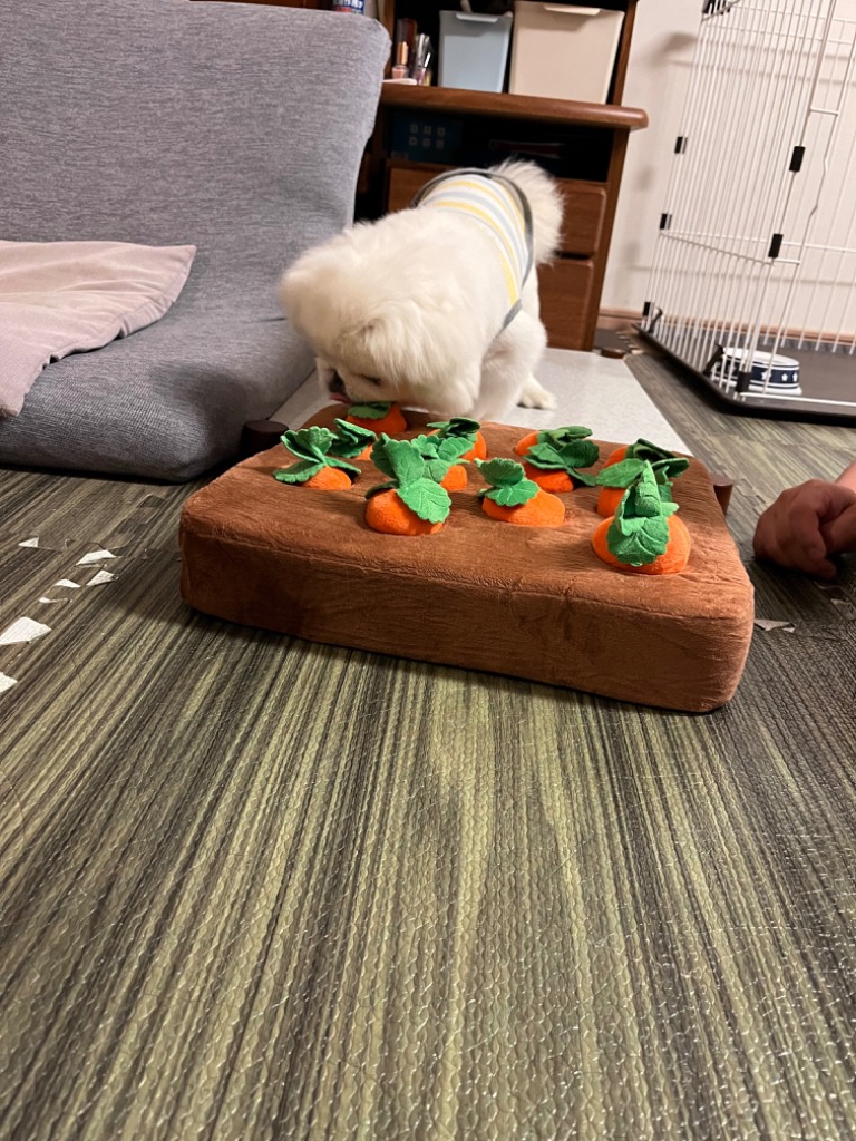 全体のレビュー画像 | 3-1