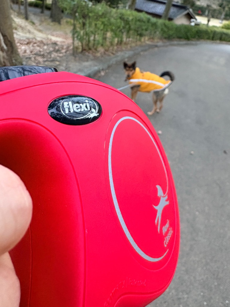 1件目のレビュー画像 | 0