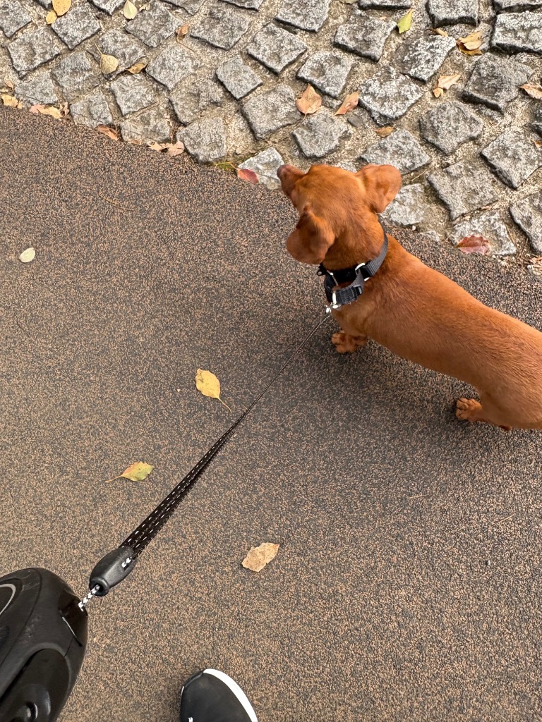 1件目のレビュー画像 | 0