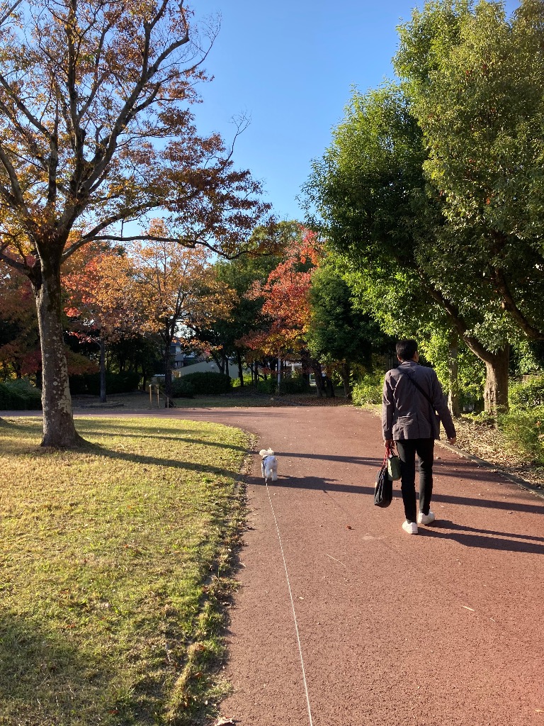 全体のレビュー画像 | 1-0