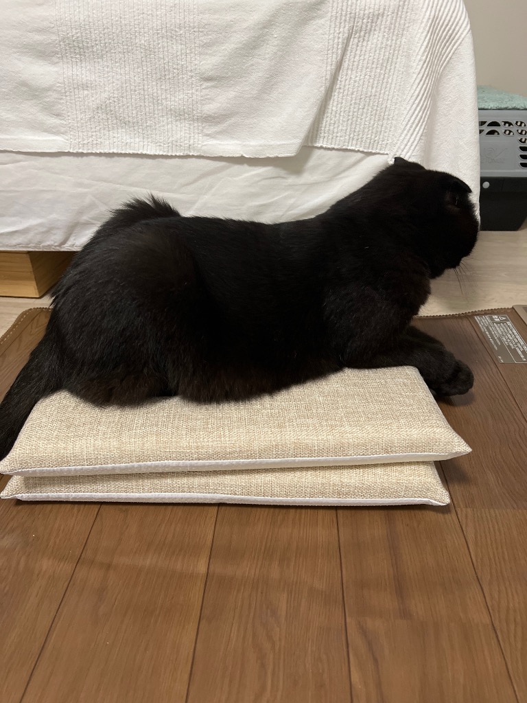 全体のレビュー画像 | 1-0