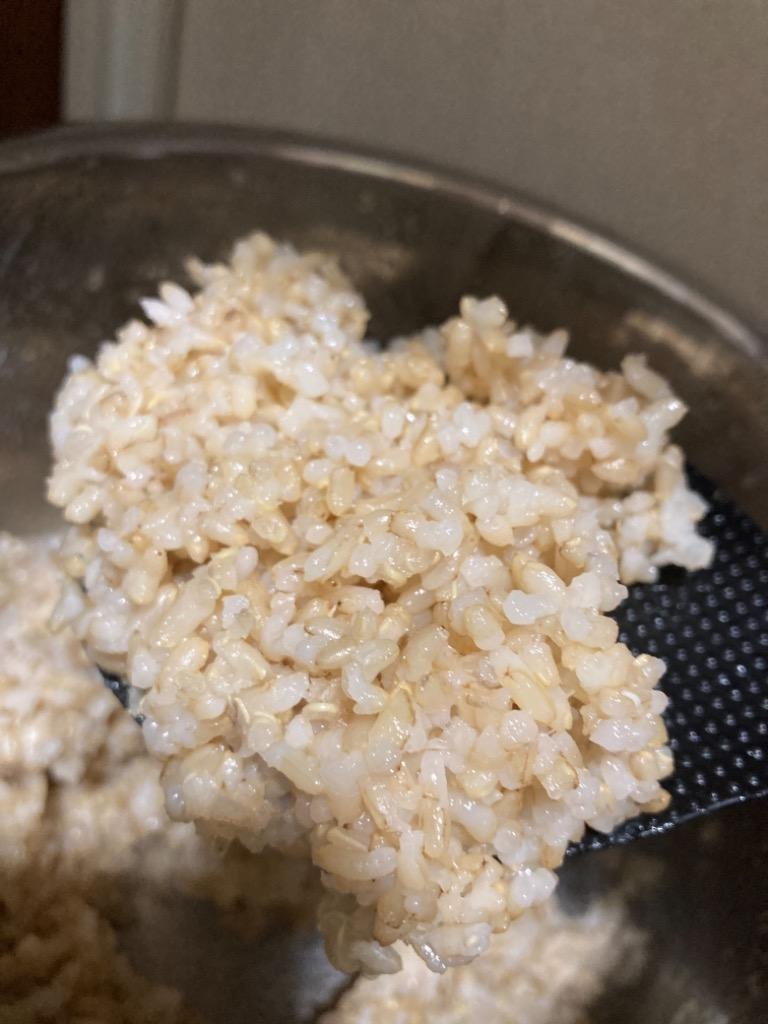 玄米10kg 石川ファーム 自然栽培米/無農薬 R4年新米 :20001:Crea(クリエ) - 通販 - Yahoo!ショッピング 玄米10kg 石川ファーム 自然栽培米/無農薬 R4年新米 :20001:Crea(クリエ) - 通販 - Yahoo!ショッピング