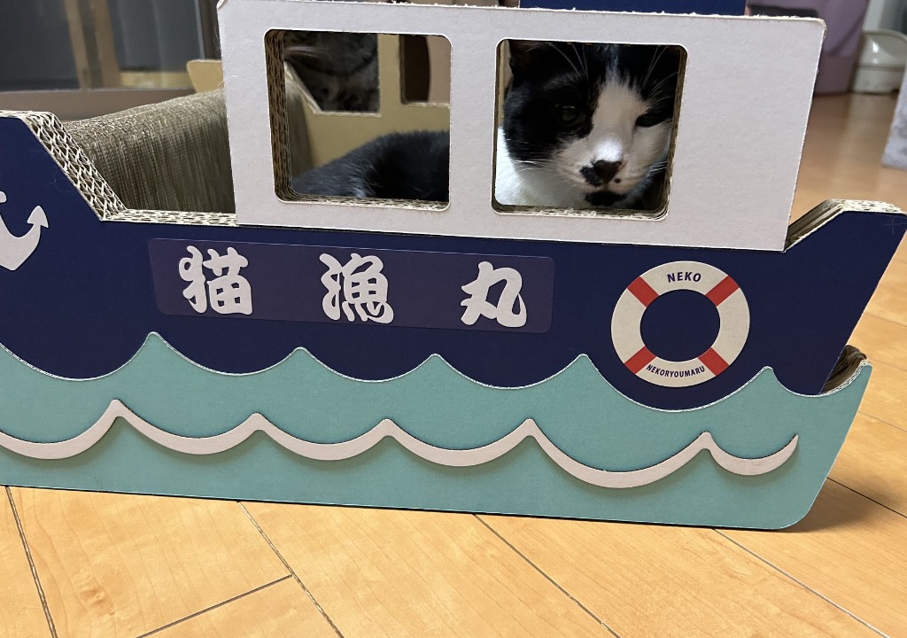 1件目のレビュー画像 | 0
