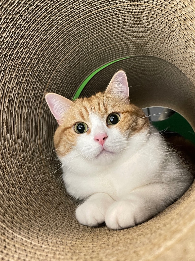 1件目のレビュー画像 | 0