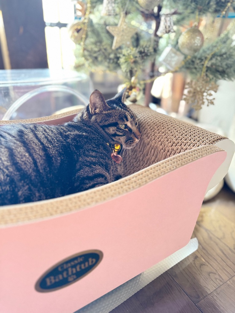 1件目のレビュー画像 | 0