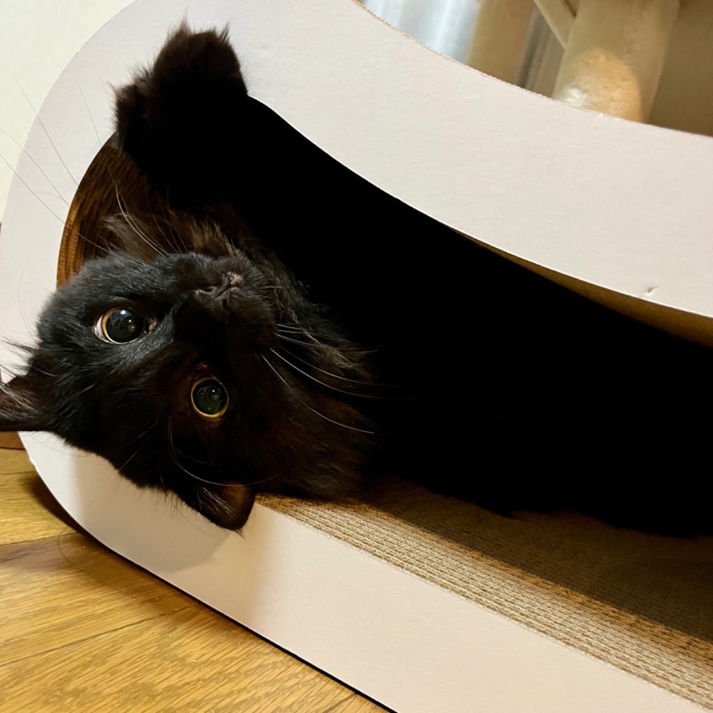 1件目のレビュー画像 | 1