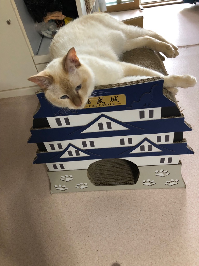 1件目のレビュー画像 | 1