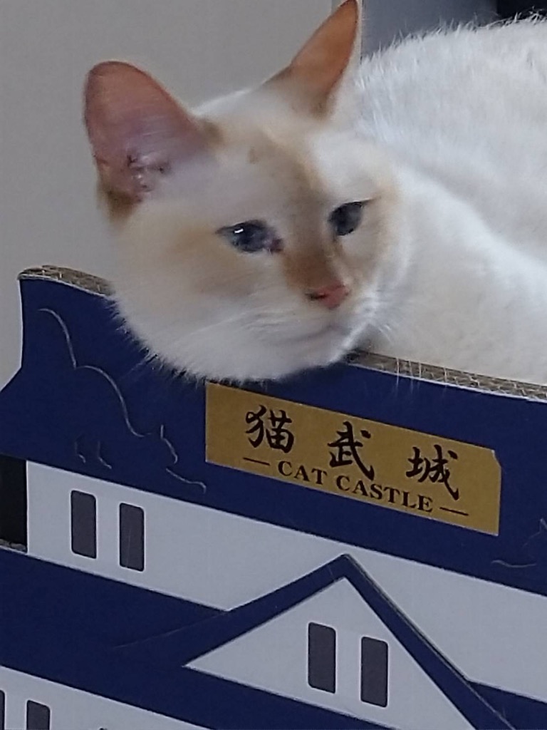 1件目のレビュー画像 | 0