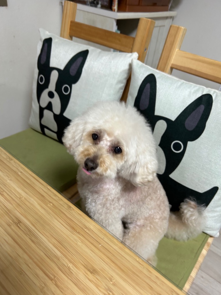 レビュー画像
