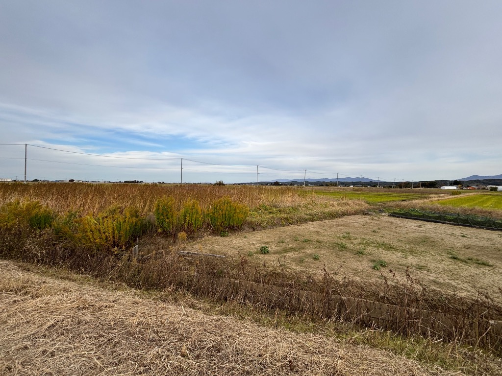 全体のレビュー画像 | 5-0