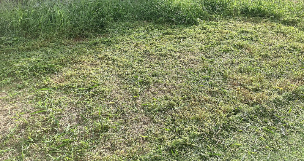 全体のレビュー画像 | 7-1