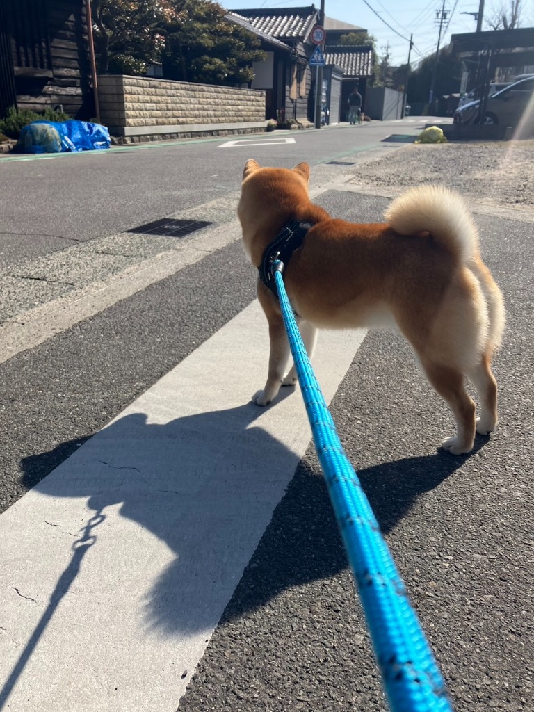 全体のレビュー画像 | 0-0