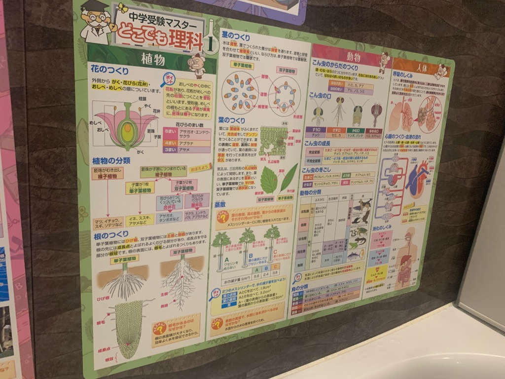 全体のレビュー画像 | 0-0