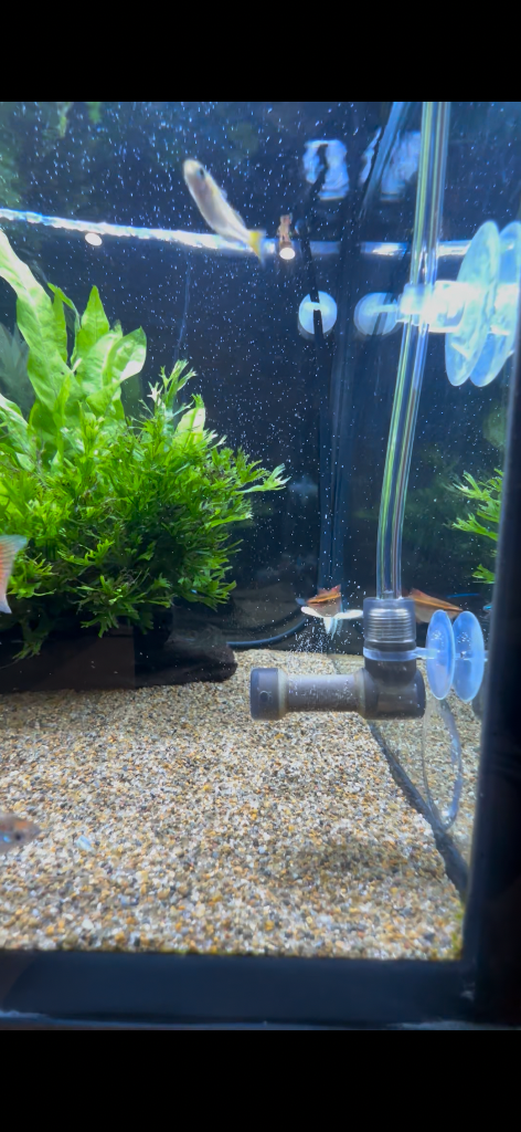 自動でCO2添加 水草育成用CO2フルセット Dタイプ （デジタルタイマー