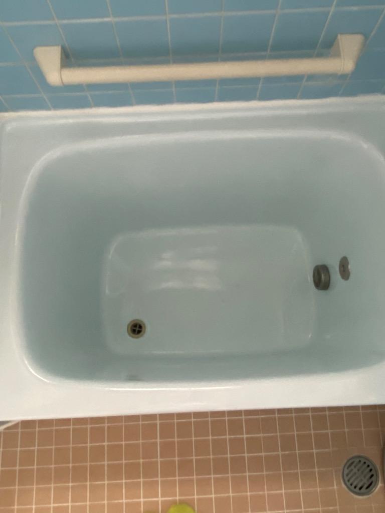 浴室修復塗料 バスロン バスタブ単品用 塗布剤 選べる10色 :2001 