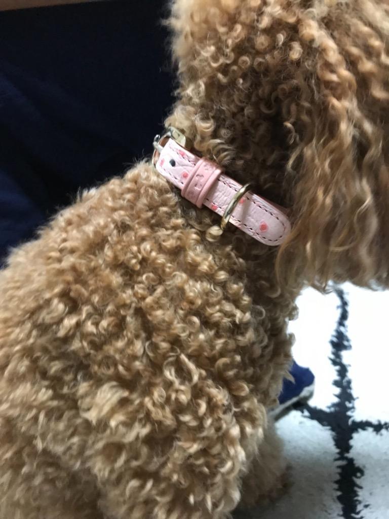 1件目のレビュー画像 | 0