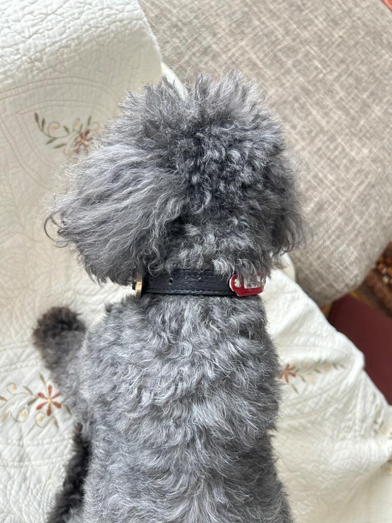 6件目のレビュー画像 | 0