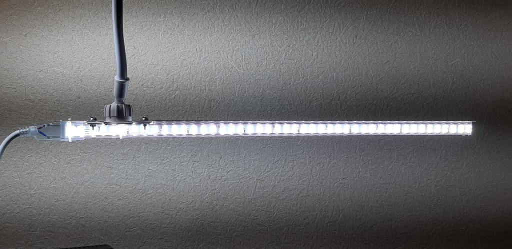 LEDテープライト コンセントプラグ付き 100V 50CM 配線工事不要 LEDテープライト コンセントプラグ付き 100V 50CM 配線工事不要