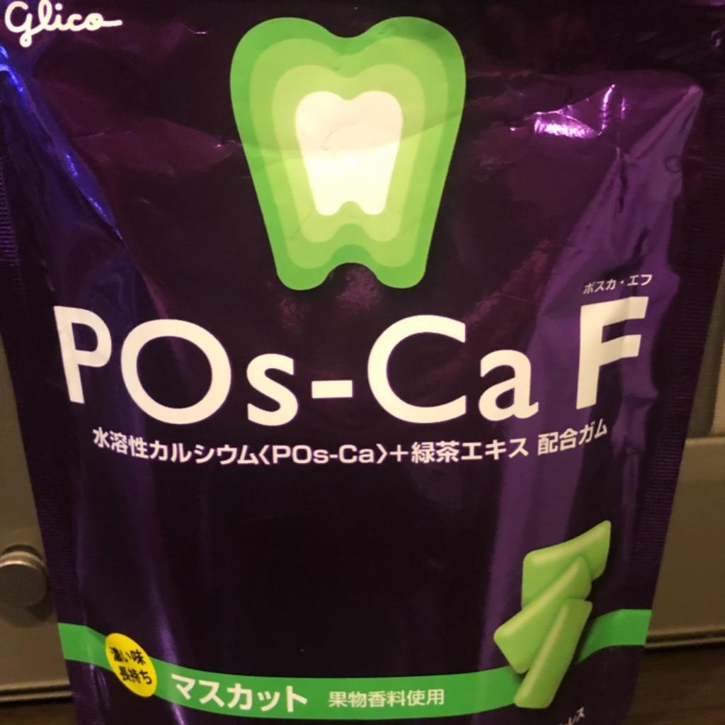 ◇POs-Ca F(ポスカ・F) パウチタイプ100g 1袋 小型宅配便5個までOK - ガム