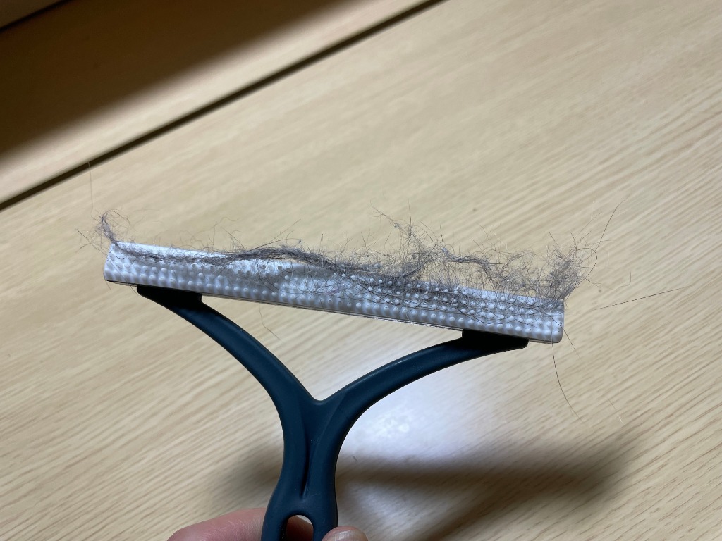 レビュー画像