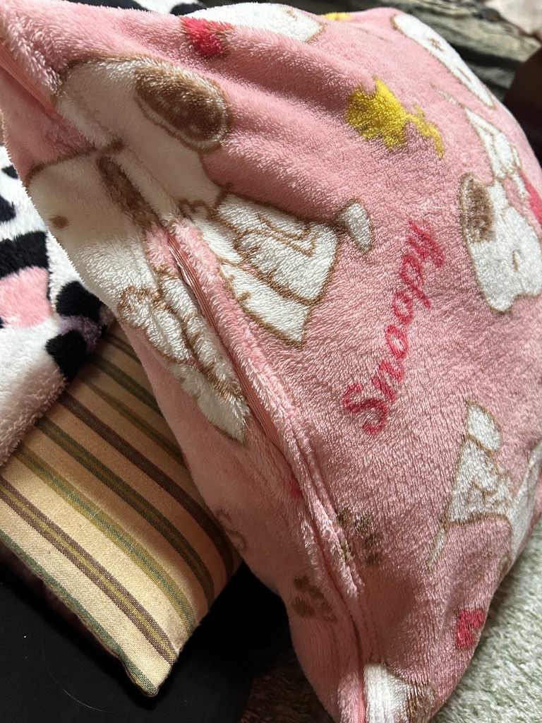 6件目のレビュー画像 | 0