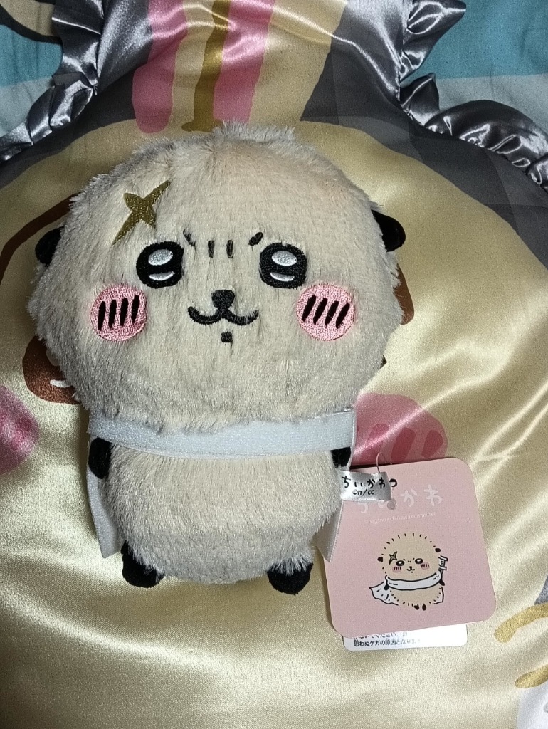 ポチャッコ　ぬいぐるみ　マスコット　ナガノ ぬいぐるみ ポチャッコ ぬいぐるみ(M) 「ナガノ×サンリオ