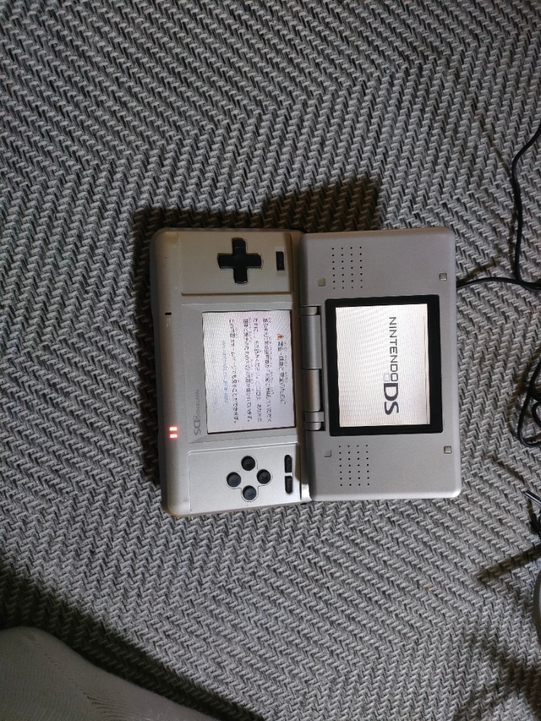 Nintendo DS 初期型 本体 【すぐ遊べるセット】 ※互換充電