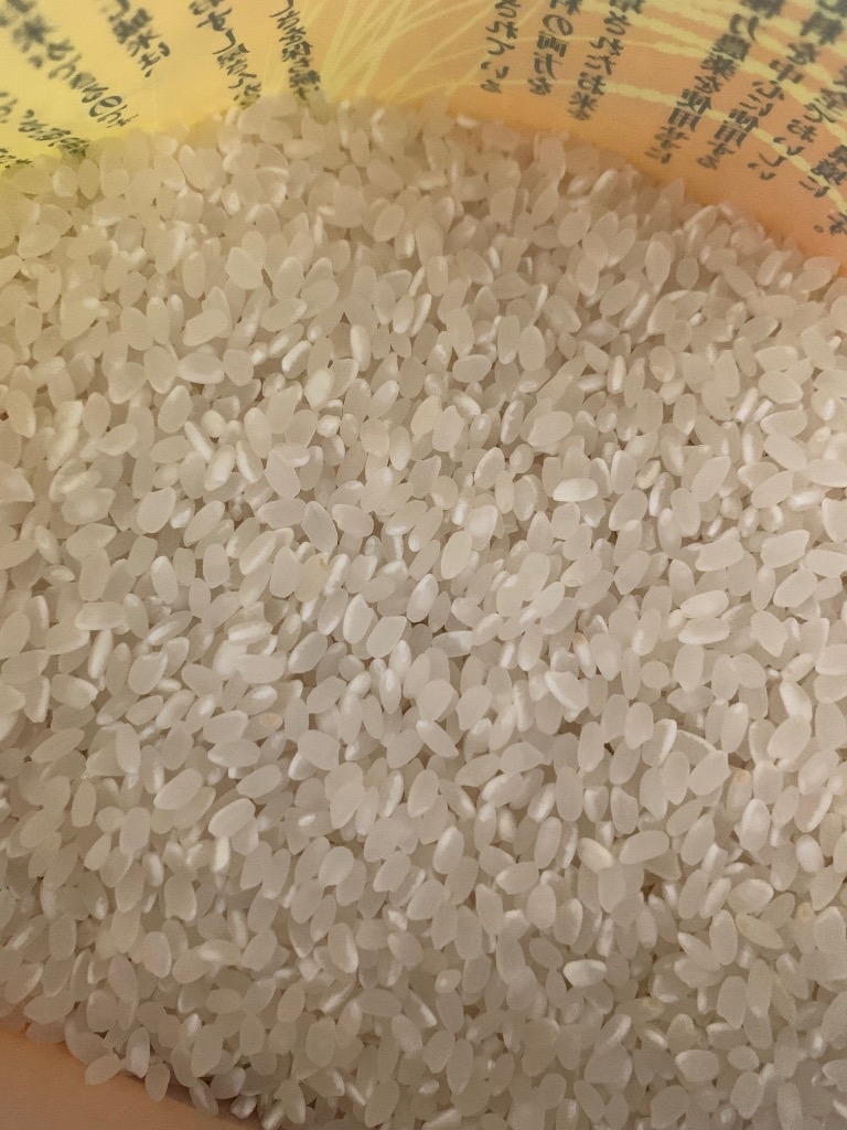 ヒノヒカリ 七城米 2kg 令和6年産 七城の米 ひのひかり 当店人気