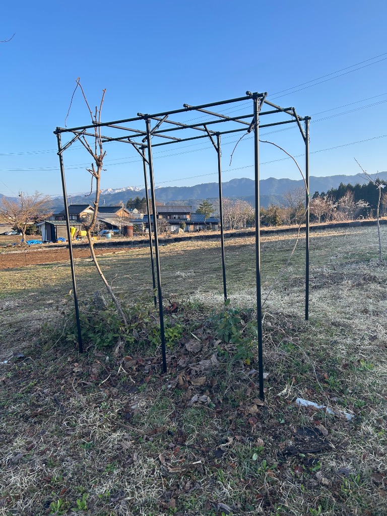 全体のレビュー画像 | 1-0