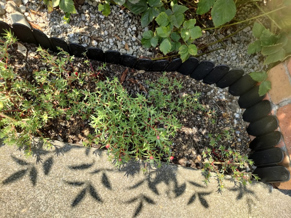 2件目のレビュー画像 | 1