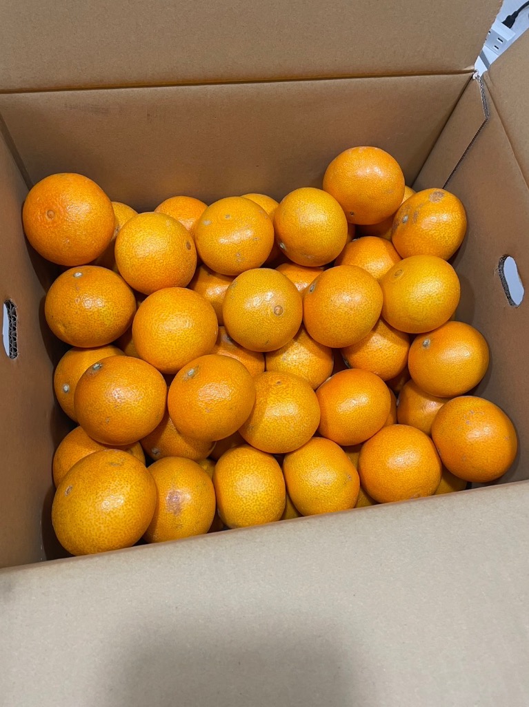 全体のレビュー画像 | 3-0