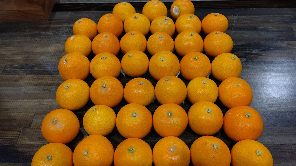 全体のレビュー画像 | 2-0