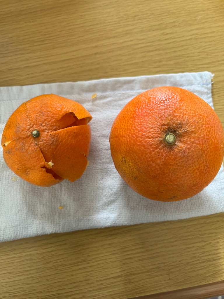 全体のレビュー画像 | 2-0