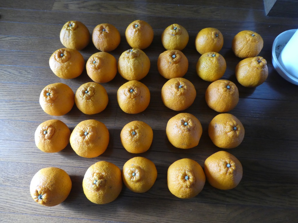 全体のレビュー画像 | 3-0