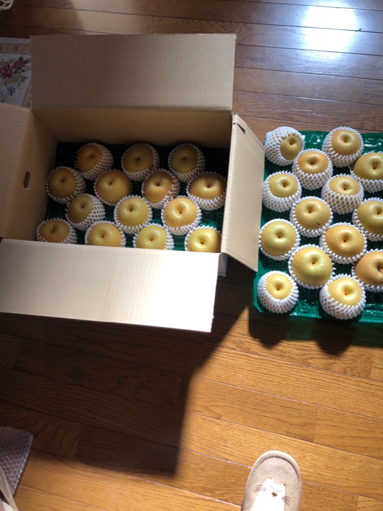 全体のレビュー画像 | 0-0