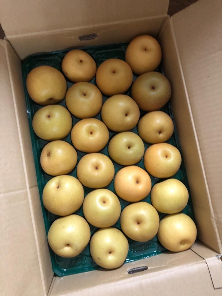 10件目のレビュー画像 | 0