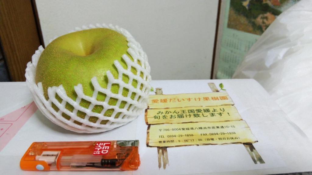 全体のレビュー画像 | 1-1