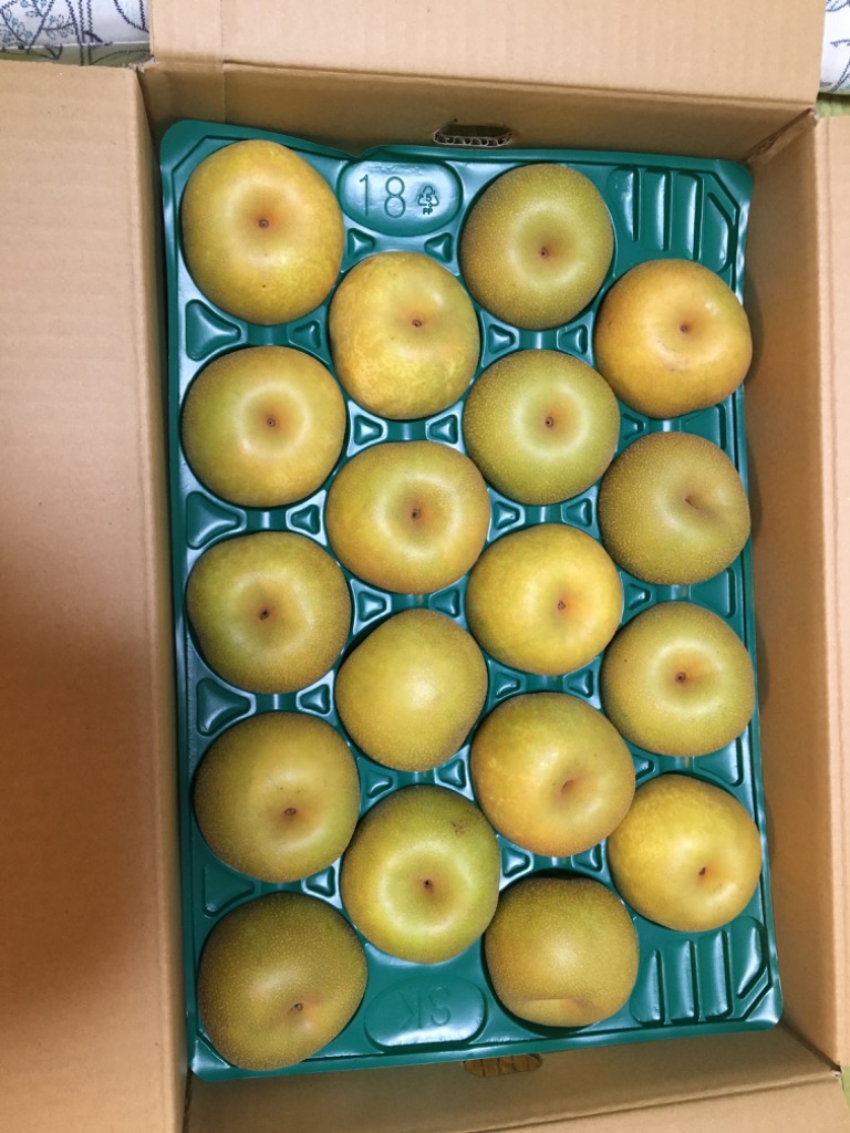 全体のレビュー画像 | 1-0