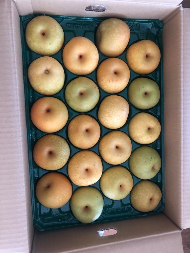 全体のレビュー画像 | 3-1