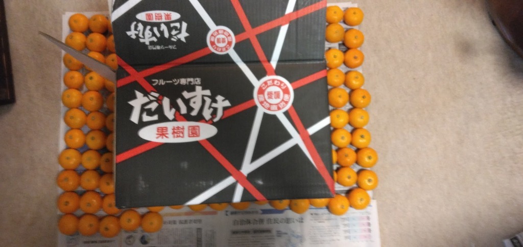 レビュー画像