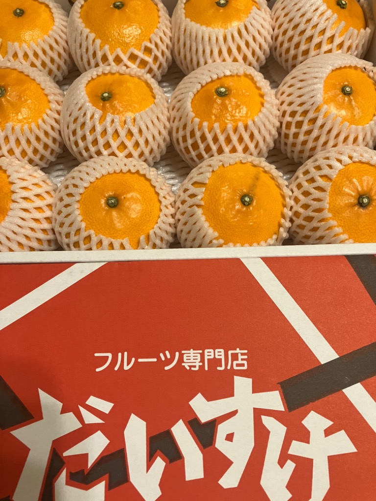 愛媛果試第48号 約5kg | のま果樹園