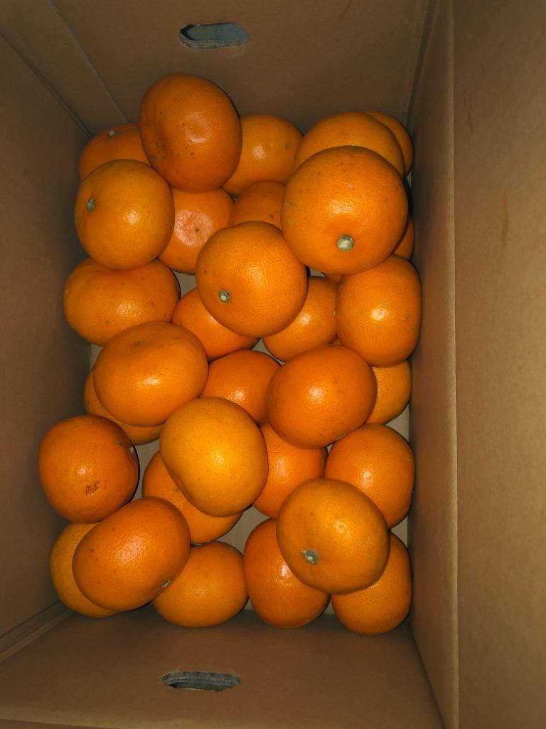 全体のレビュー画像 | 4-0