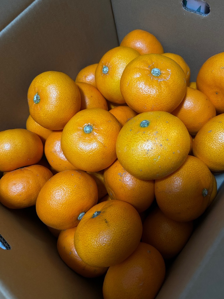 全体のレビュー画像 | 0-0