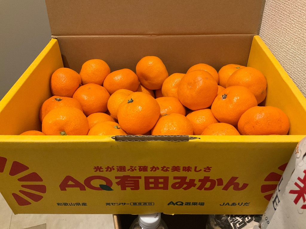 ●みかん●家具 小岩井 純水みかん 1箱（1500ml×8本） ｜ ミスターマックス