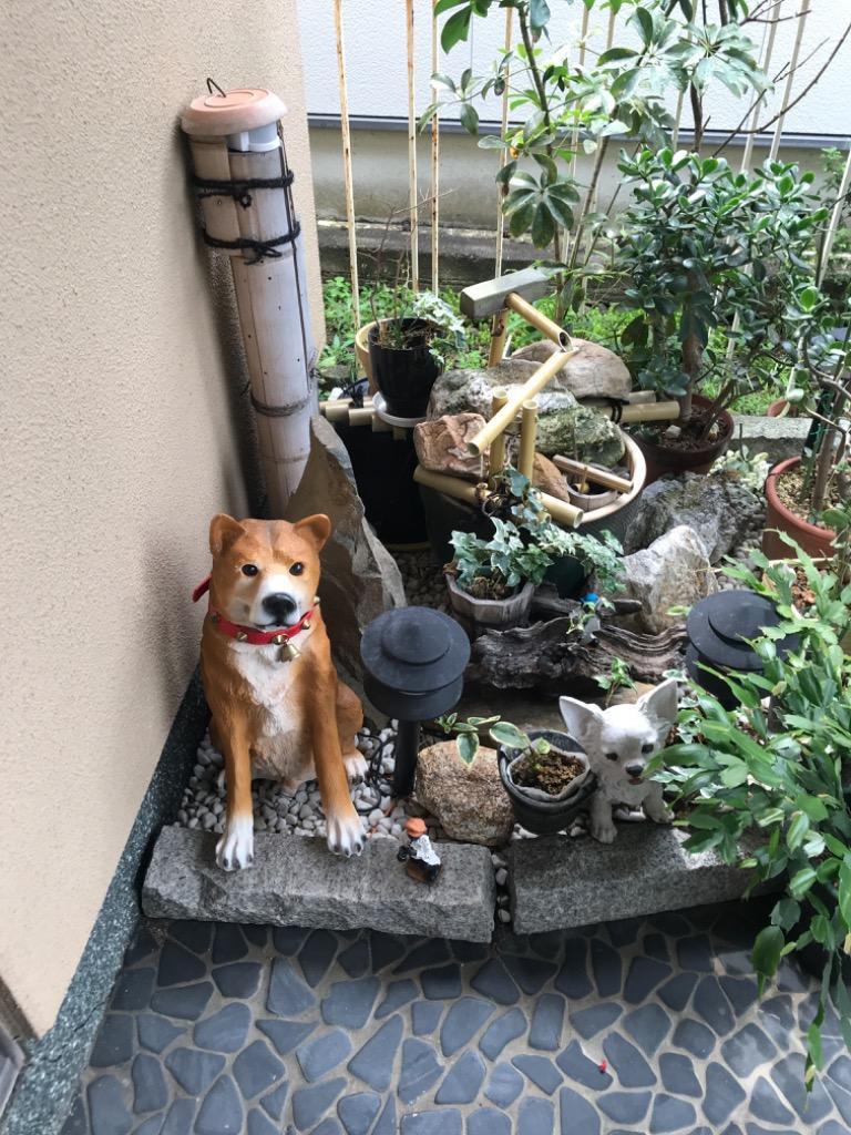 ガーデンオーナメント 吠える ワンワンリキ 庭 置物 犬 リアル