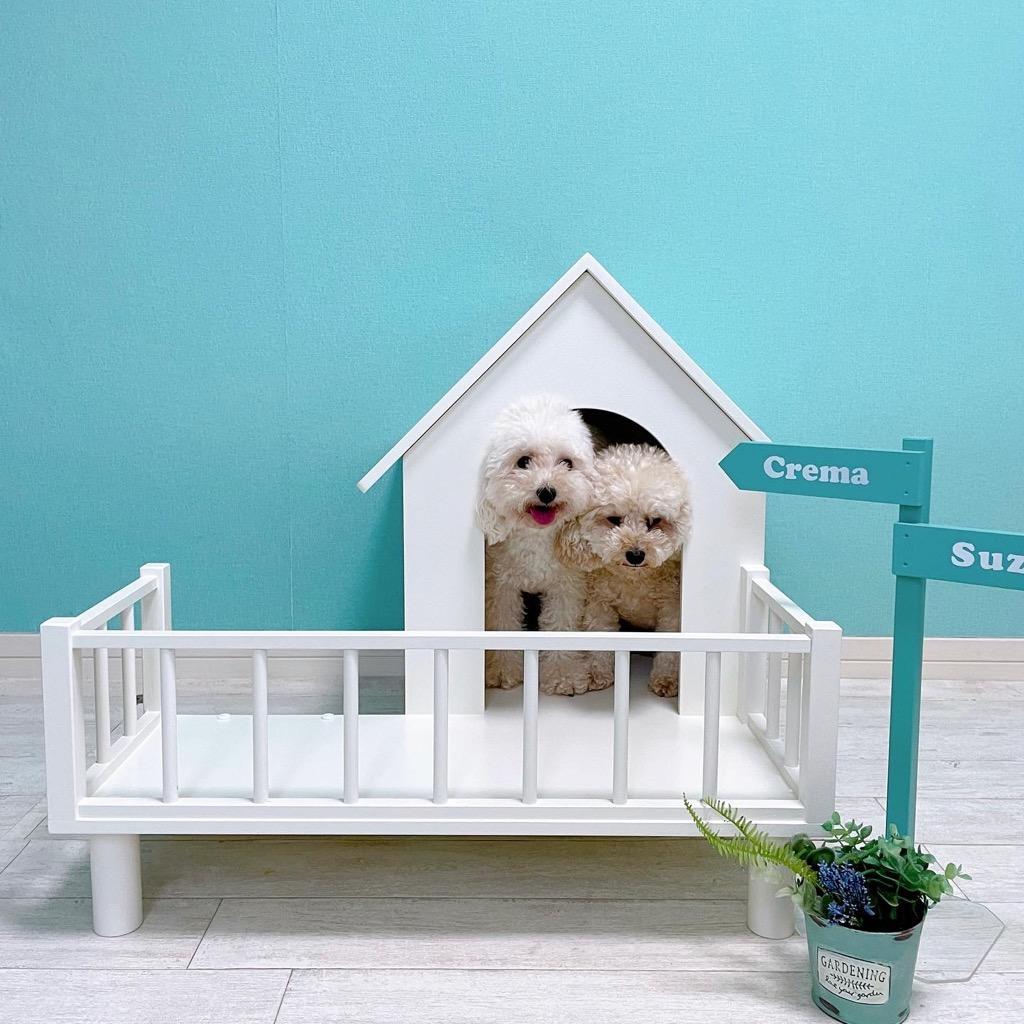 犬 猫 ハウス ベッド 室内 おしゃれ Lanai Lサイズ ペット 犬小屋 小型犬 中型犬 木製 日本製 ホワイト 白 フレブル Mダックス パグ Dog Cat Doghouse L Darumaya 通販 Yahoo ショッピング