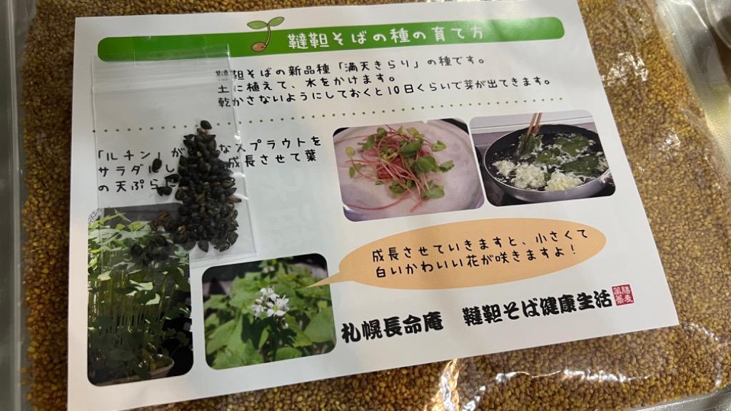 韃靼そば茶 500g 国産（北海道産100％）だったんそば茶 長命庵 伊藤園 採用実績 健康茶 大容量 :sobacha500:健康生活Yahoo!店  - 通販 - Yahoo!ショッピング