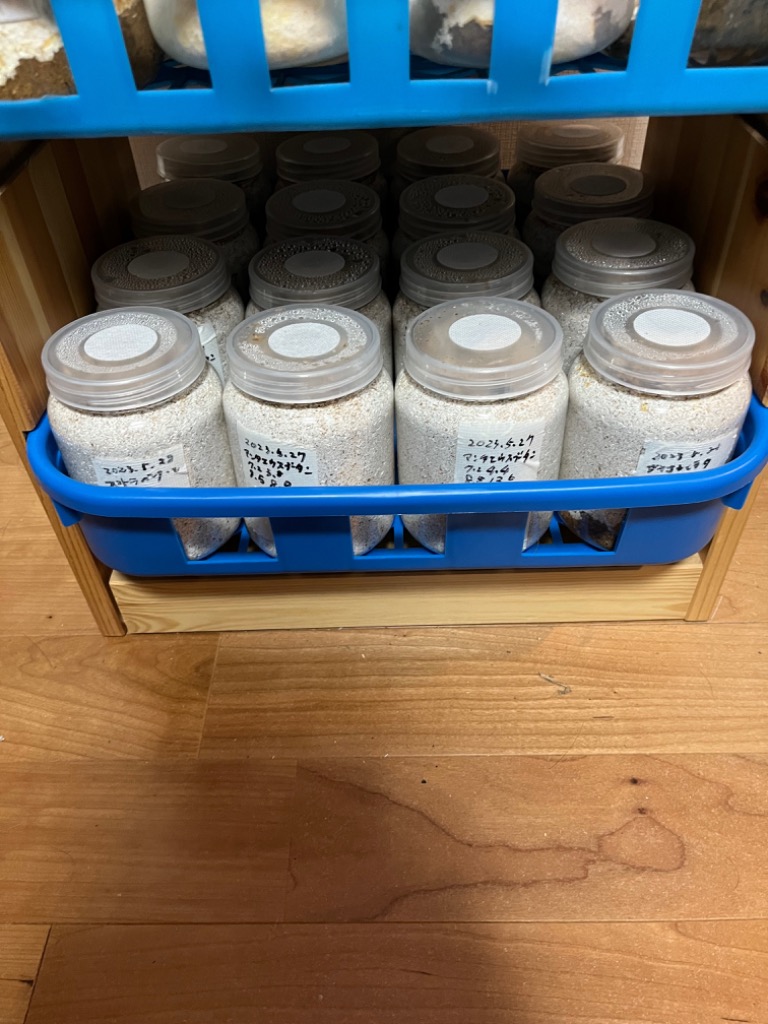 菌糸瓶ボルトコンテナ　18枚セット 菌糸ビン」の人気商品一覧 | 安い商品を通販サイトから探す