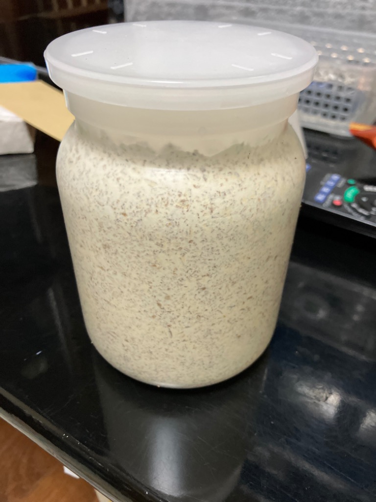 特売！カワラタケ菌糸ボトル 800cc菌糸ビン 1本 K800M : どら猫